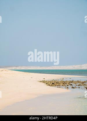Vertikale Aufnahme eines Strandes. Perfekt für Tapeten. Stockfoto