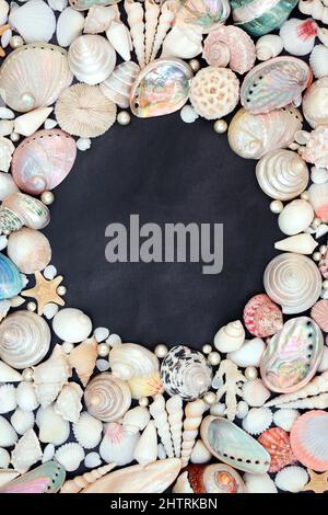 Muscheln und Austernperlen natürlichen Hintergrund Grenze mit großer Sammlung auf meliertem Grau. Natur, Sommer, Konzept. Draufsicht, flach liegend, Kopierbereich. Stockfoto