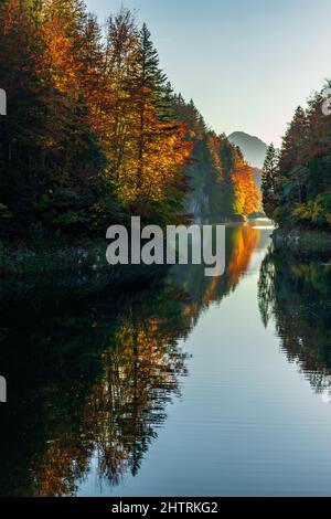 Friedlicher Fluss, der sich im Herbst durch einen Buchenwald schlängelt Stockfoto