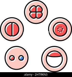 Vektorgrafik für Farbsymbole der Zellentwicklung Stock Vektor