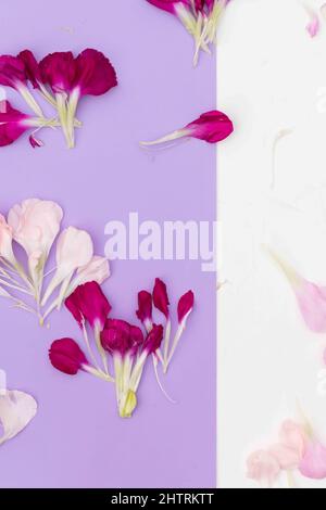 Lavendel und weiße Farbe Block floral flach legen Stockfoto