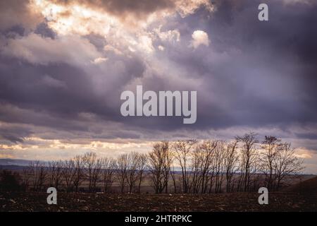 Wind brechen Baumlinie unter einem dramatischen bunten Himmel mit Sonnenstrahlen durch die Wolken, Postkarte Kalender Idee Konzept Stockfoto