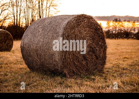 Bei Sonnenuntergang liegen runde Heuballen auf dem Feld Stockfoto