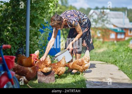 Dünne arme Frau füttert Hühner. Die Umrisse eines Dorfhauses sind in der Ferne sichtbar. Das Leben der Großmutter auf dem Land. Stockfoto