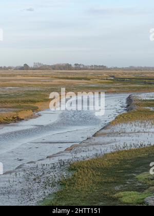 Salzwiesen und Wattflächen, die sich in ehemaligen Ackerland entwickeln, nachdem die Küstenverteidigung durch einen Gezeitenbruch neu ausgerichtet wurde, RSPB Medmerry, West Sussex UK Stockfoto