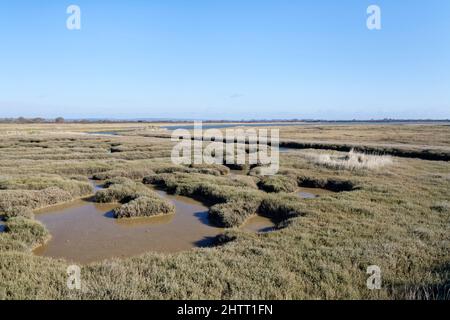 Saltmarsh Pools, teilweise gefüllt von einer steigenden Flut, RSPB Pagham Harbour Nature Reserve, West Sussex, Großbritannien, Februar. Stockfoto