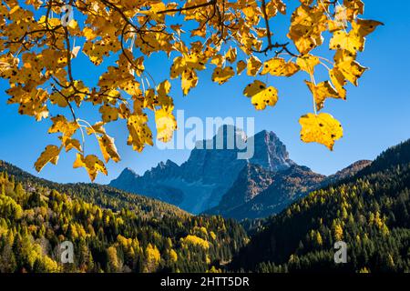 Farbige Wälder aus Lärchen und Pinien, Gipfel und Felswände des Monte Pelmo in der Ferne. Stockfoto