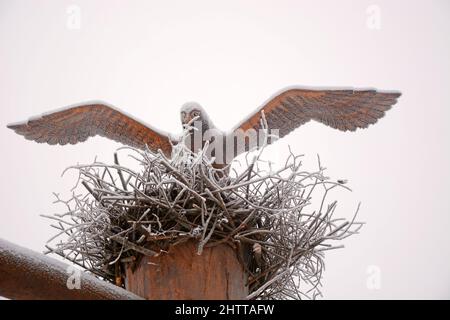 Holzfigur einer Krähe, die mit einem Adler bedeckt ist, im Hof eines Hauses Stockfoto