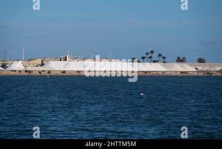 San Pedro del Pinatar ist eine kleine Stadt in der Region Murcia im Südosten Spaniens. Stockfoto