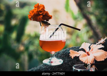 mai tai im Glas im Dschungel Stockfoto