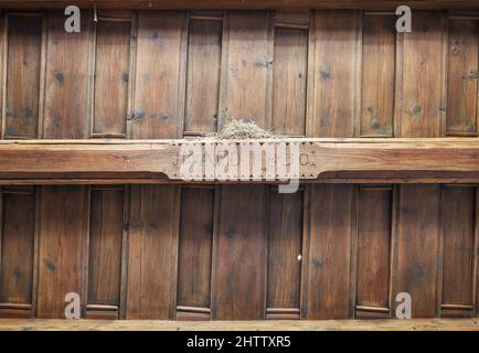 Auf einer Holzdecke brüten niederwinklige Aufnahmen von Vögeln, auf die Buchstaben und Zahlen geschnitzt sind Stockfoto