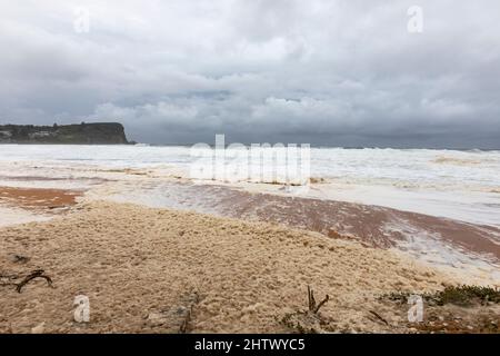 Sydney, Australien. 03. März 2022. An der Ostküste Australiens setzen sich heftige Regenfälle und Überschwemmungen fort, die am Avalon Beach in Sydney am 3.. März 2022 auf wilder Brandung und Meeresboden abgebildet wurden. Kredit: martin Berry/Alamy Live Nachrichten Gutschrift: martin Berry/Alamy Live Nachrichten Stockfoto