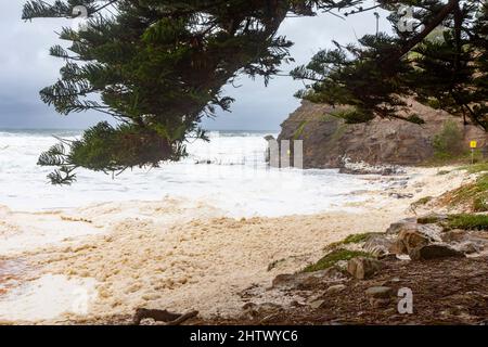 Sydney, Australien. 03. März 2022. An der Ostküste Australiens setzen sich heftige Regenfälle und Überschwemmungen fort, die am Avalon Beach in Sydney am 3.. März 2022 auf wilder Brandung und Meeresboden abgebildet wurden. Kredit: martin Berry/Alamy Live Nachrichten Gutschrift: martin Berry/Alamy Live Nachrichten Stockfoto