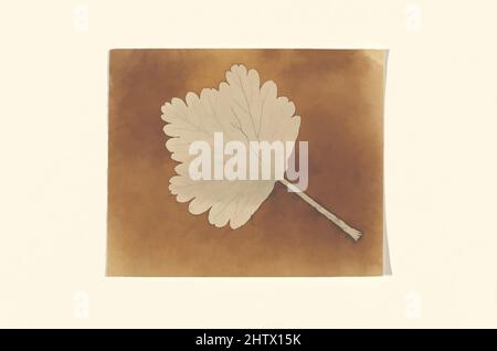 Kunst inspiriert von Leaf, ca. 1840, photogene Zeichnung negativ, Blatt: 3 1/8 × 3 13/16 Zoll (8 × 9,7 cm), Negative, William Henry Fox Talbot (britisch, Dorset 1800–1877 Lacock, Klassische Werke, die von Artotop mit einem Schuss Moderne modernisiert wurden. Formen, Farbe und Wert, auffällige visuelle Wirkung auf Kunst. Emotionen durch Freiheit von Kunstwerken auf zeitgemäße Weise. Eine zeitlose Botschaft, die eine wild kreative neue Richtung verfolgt. Künstler, die sich dem digitalen Medium zuwenden und die Artotop NFT erschaffen Stockfoto