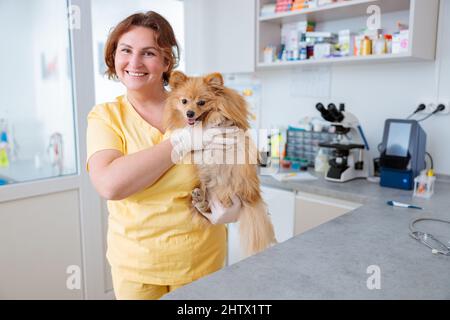 Krankenschwester hält Hund im Aufwachraum des Tierarztes Stockfoto