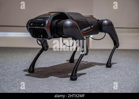 Barcelona, Spanien. 02. März 2022. Ein Cyberdog-Roboter, der während des Mobile World Congress 2022 gesehen wurde. Dritter Tag des Mobile World Congress 2022 in Barcelona. Kredit: SOPA Images Limited/Alamy Live Nachrichten Stockfoto