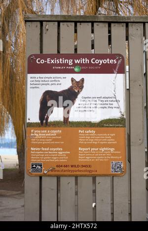 Informatives Zeichen über die Kojoten-Koexisting im Strand von Jojo Park, Vancouver, British Columbia, Kanada Stockfoto