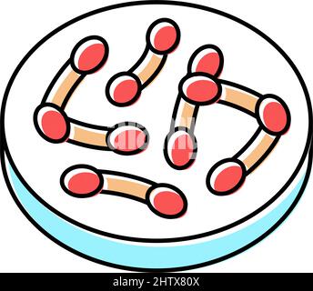 Bakterien corynebacterium diphtheriae Farbe Symbol Vektor Illustration Stock Vektor