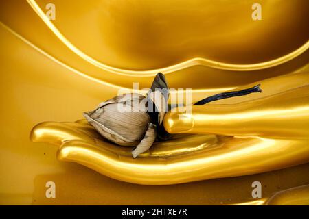 Vergleichen Sie Bilder, die nicht alles permanent sind. Stockfoto