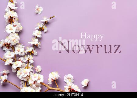 Zweige des Aprikosenbaums mit Blumen auf rosa Hintergrund Text Happy Nowruz Feiertagskonzept des Frühlings kam Draufsicht Flat Lay Hallo märz, april, Mai, Stockfoto