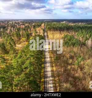 Luftaufnahme einer toten geraden Straße durch ein Waldgebiet Stockfoto