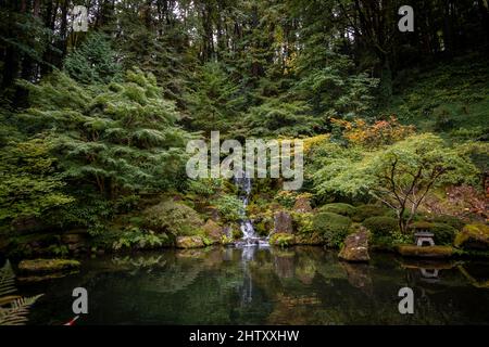 Teich mit Wasserfall im dicht bewachsenen Garten, Japanese Garden, Portland, Oregon, USA Stockfoto