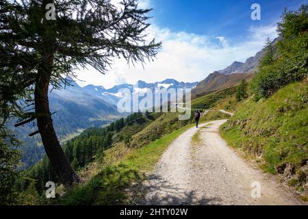 Wanderer auf dem Weg von der Timmelsjochstraße zur Oberglanegg Alm, Naturpark Texelgruppe, Passeiertal, Ötztaler Alpen, Südtirol, Italien Stockfoto