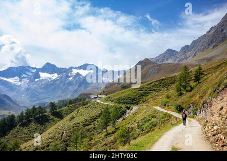 Wanderer auf dem Weg von der Timmelsjochstraße zur Oberglanegg Alm, Naturpark Texelgruppe, Passeiertal, Ötztaler Alpen, Südtirol, Italien Stockfoto