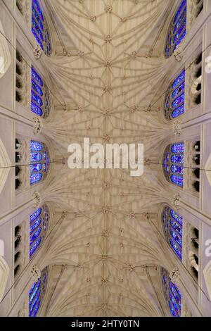 Gewölbte Decke, Saint Patricks Old Cathedral oder Old St. Patricks, Lower Manhattan, Manhattan, New York, USA Stockfoto