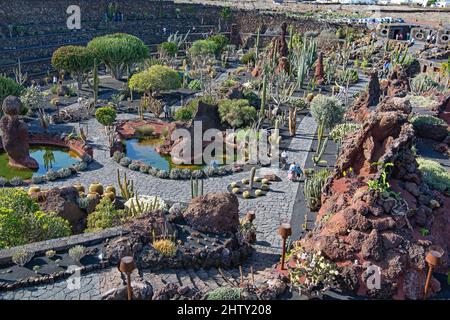 Jardin de Cactus, Cesar Manrique Cactus Garden, Lanzarote, Kanarische Inseln, Kanarische Inseln, Spanien Stockfoto