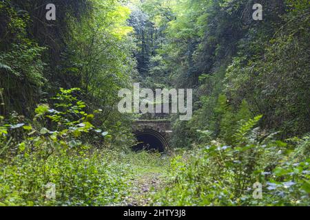 Fundstelle, Tunnelportal, U-Umzug Meise 1, Schwelmer Tunnel, Schwelm, Nordrhein-Westfalen, Deutschland Stockfoto