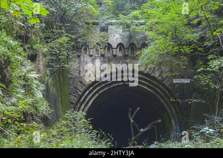 Fundstelle, Tunnelportal, U-Umzug Meise 1, Schwelmer Tunnel, Schwelm, Nordrhein-Westfalen, Deutschland Stockfoto