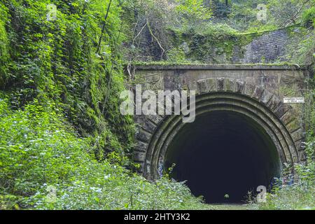 Fundstelle, Tunnelportal, U-Umzug Meise 1, Schwelmer Tunnel, Schwelm, Nordrhein-Westfalen, Deutschland Stockfoto