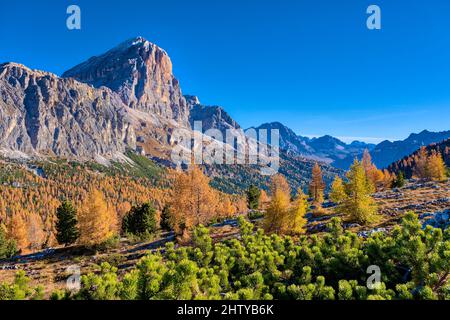 Der Gipfel der Felsformation Tofane, umgeben von bunten Lärchen und Pinien, vom See Limedes aus gesehen, im Herbst. Stockfoto