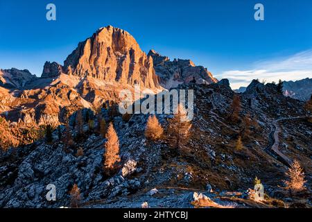 Der Gipfel der Felsformation Tofane, umgeben von bunten Lärchen und Pinien, von Cinque Torri di Averau aus gesehen, bei Sonnenaufgang im Herbst. Stockfoto