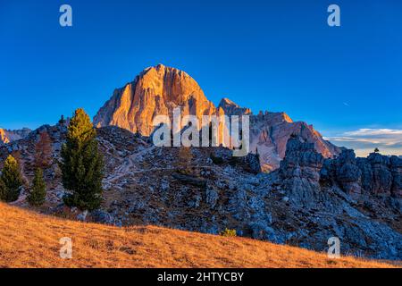 Der Gipfel der Felsformation Tofane, umgeben von bunten Lärchen und Pinien, von Cinque Torri di Averau aus gesehen, bei Sonnenaufgang im Herbst. Stockfoto