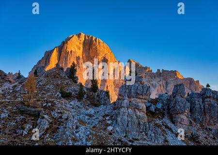 Der Gipfel der Felsformation Tofane, umgeben von bunten Lärchen und Pinien, von Cinque Torri di Averau aus gesehen, bei Sonnenaufgang im Herbst. Stockfoto