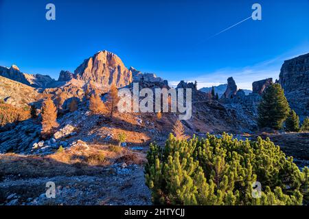 Der Gipfel der Felsformation Tofane, umgeben von bunten Lärchen und Pinien, von Cinque Torri di Averau aus gesehen, bei Sonnenaufgang im Herbst. Stockfoto