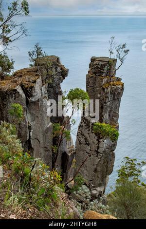 Rock Pillar at Fluted Cape, Bruny Island, Tasmanien, Australien Stockfoto