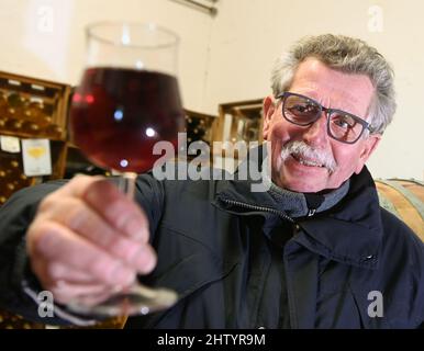01. März 2022, Brandenburg, Töplitz: Winzer Klaus Wolenski hält im Weingut Klosterhof Töplitz ein Glas Rotwein in den Händen. Derzeit stehen die Binde- und Beschneidungsarbeiten der Reben für die kommende Saison im Weinberg an. Die Weine werden hier ausschließlich von Hand aus gesunden, vollreifen Trauben im Bio-Weinbau hergestellt. Chemische, synthetische Düngemittel, Pestizide und Herbizide werden nicht verwendet. Die mineralreiche Struktur der Böden am Südhang lässt besonders frische und fruchtige Weine reifen, die für die Rebsorte typisch sind und jung getrunken werden können. Foto: Jens K Stockfoto