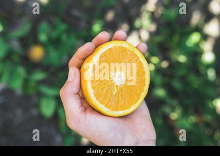 Der Junge hält eine halbe saftige Orange in den Händen. Stockfoto