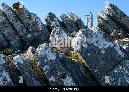 Die Staue des Mirador del guarda Waldperspektive auf Andalusien in Spanien Stockfoto