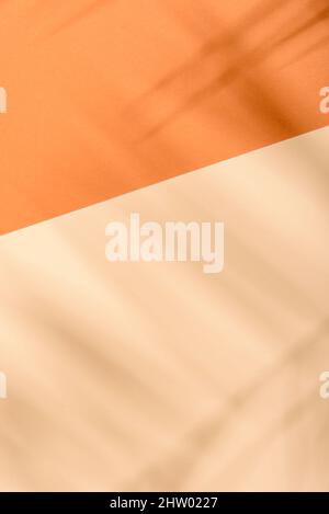 Warme orange und beige Sommerfarbe Hintergrund mit tropischen Palmen Schatten. Zwei Trend-Pastellpapier und exotisches Pflanzenfarblayout. Minimale flache Lage mit l Stockfoto