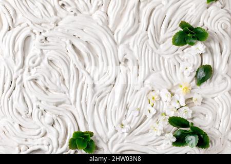 Kleine schöne weiße Kalanchoe Blüten und grüne Blätter auf weißen floralen verzierten Keramik-Panno. Draufsicht Blume Hintergrund Stockfoto