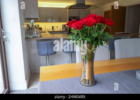 Ein Dutzend Rosen in einer Vase auf einem modernen Küchentisch Stockfoto