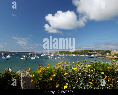 St Mary's, Isles of Scilly. Stockfoto