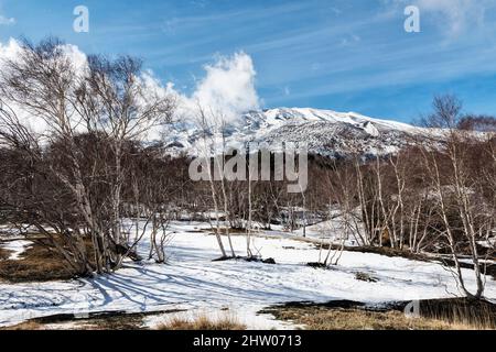 Der Gipfel des Ätna (3357m), Sizilien, Italien, gesehen im späten Winter aus dem silbernen Birkenwald an seinen unteren Hängen Stockfoto