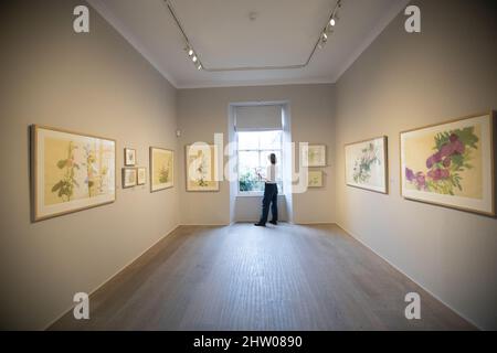 Edinburgh, Großbritannien. 3. März 2022. The Garden neue Ausstellung in der Scottish Gallery, Edinburgh in der Dundas Street. Im Bild: Claire Harkess Künstlerin Pic Credit: Pako Mera/Alamy Live News Stockfoto