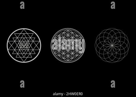 Hintergrund der Blume des Lebens, Sri Yantra Tapete, Torus-Symbol, Heilige Geometrie isoliert auf schwarzem Hintergrund, Alte Zeichen, abstrakte Illustration HD Stockfoto