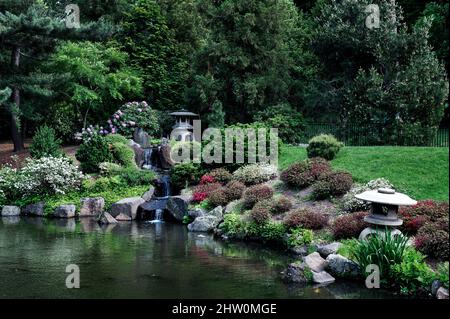 Shofuso japanischer Garten, Fairmount Park, Philadelphia, Pennsylvania, USA Stockfoto